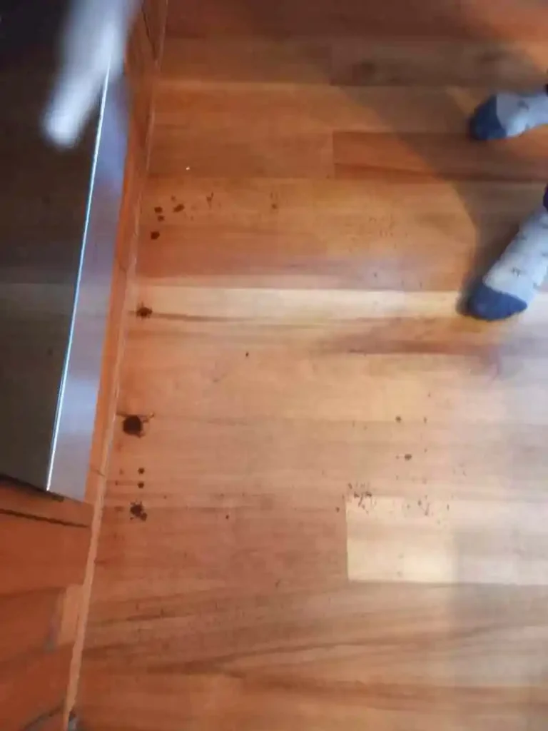 Floor stains caused by oven cleaner