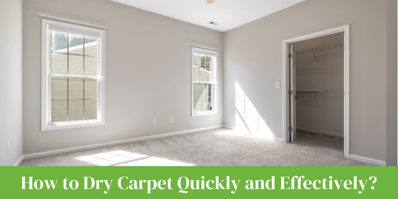 circulating air in a room to dry carpet